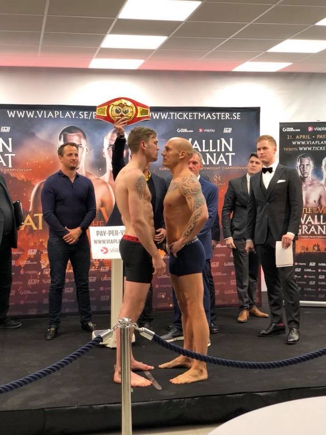 boxermladsi