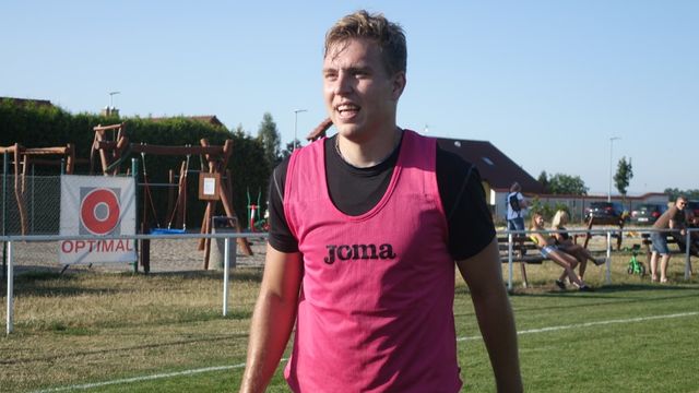 dvurshostouni
