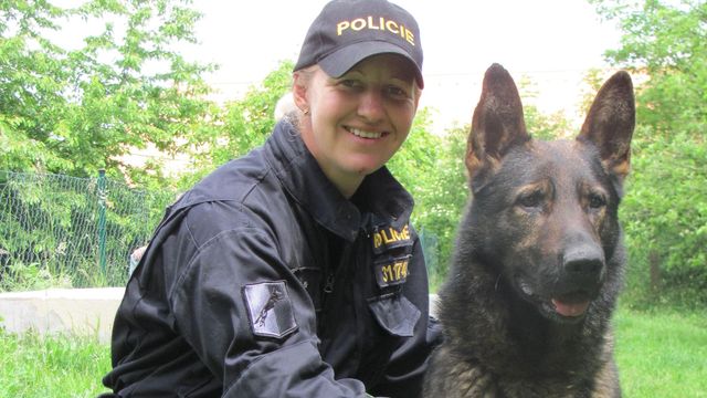 Policejní pes pomohl usvědčit podnapilého řidiče
