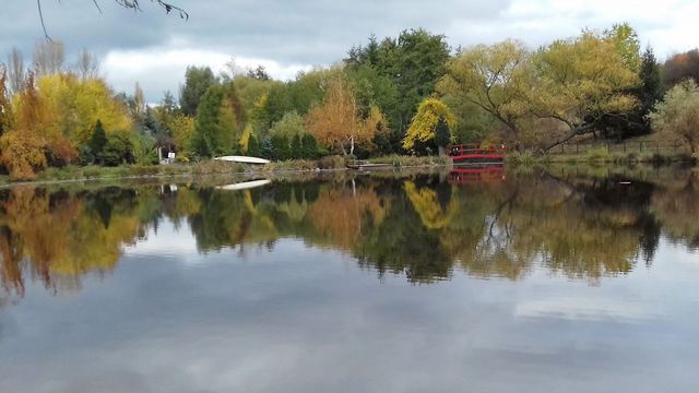alavka.cz