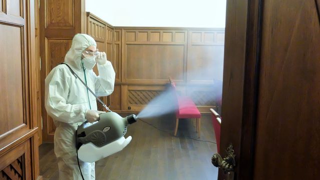 dezinfekcemagosporu
