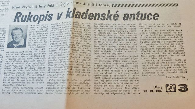 savbovatenis