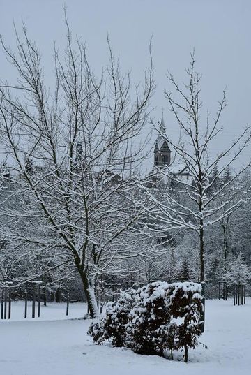 skarohlidsest