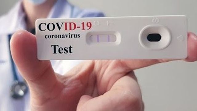 Ohlédnutí za covidem žákyně Ludmily Mechlové Ohlédnutí za covidem žákyně Ludmily Mechlové