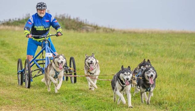 Kladenští musheři dobře zapřáhli a vytěžili zlato