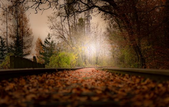 Hlasujte o nejkrásnější kladenskou fotografii roku 2023 
