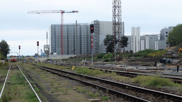 auerodomek