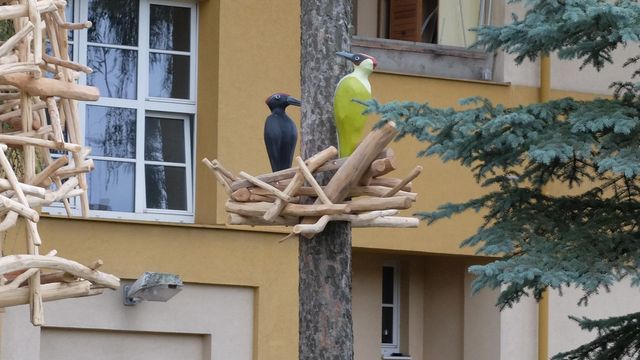 parkdrozd