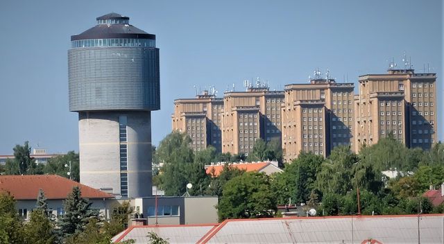 Kam za zábavou: Provazochodci na věžáku, sláva v Labyrintu, Den zvířat na Čabárně
