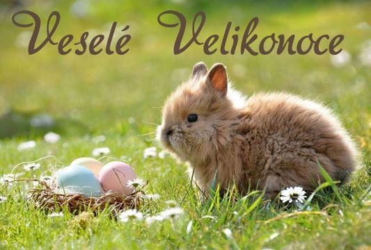 Redakce Vašeho Kladna přeje všem lidem příjemné velikonoční pondělí