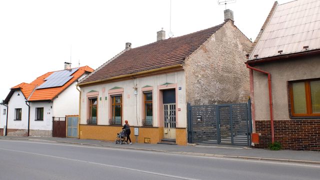 konecnazelene