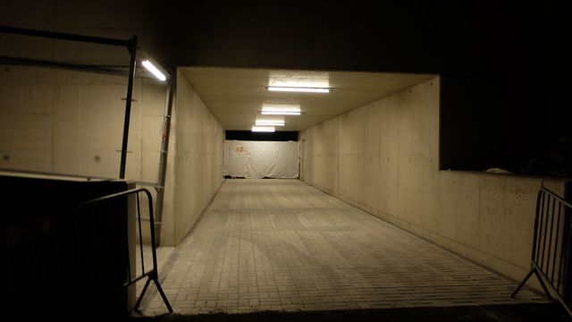aavlakostrpodch