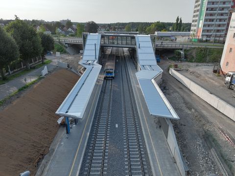 modzelmesto