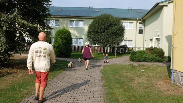 zivkapes